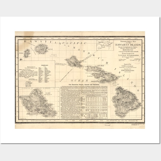 Vintage Map of Hawaii (1893) Wall Art by Bravuramedia